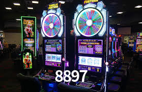 8897,8897.com