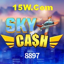 VIP Casino 8897